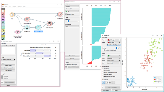 Intersection of misclassified data and data with low silhouette score.